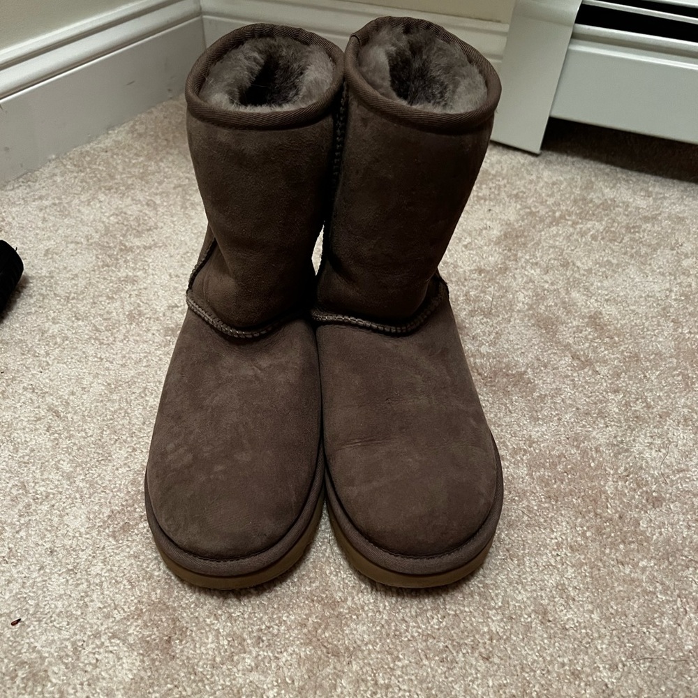 Brand New Uggs